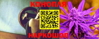 сатива Новокубанск