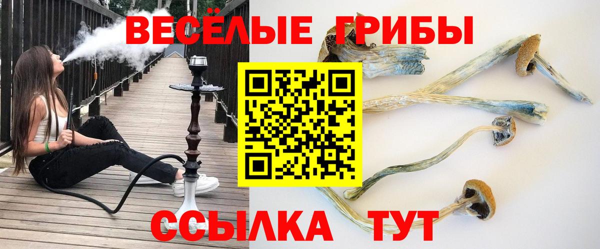 как найти закладки  Галлюциногенные грибы ЛСД  Псилоцибиновые грибы Psilocybe  Вход с VPN  Серов 