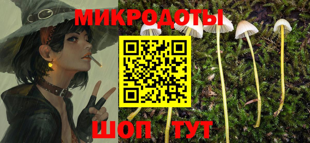 Галлюциногенные грибы мицелий Серов